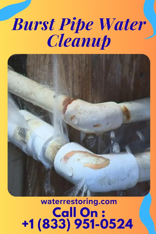 Burst Pipe Water Cleanup in Silver Springs, NY