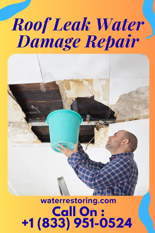 Roof Leak Water Damage Repair in Silver Springs, NY