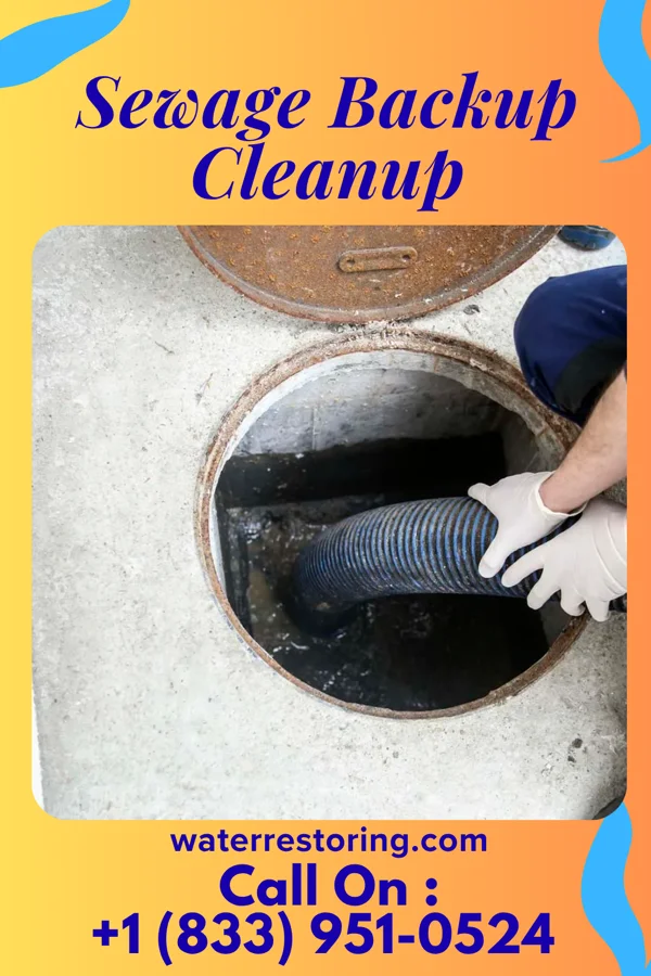 Sewage Backup Cleanup in Silver Springs, NY